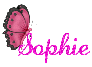 Sophie Naamanimaties Sophie Roze Vlinder Roze Glitter Tekst