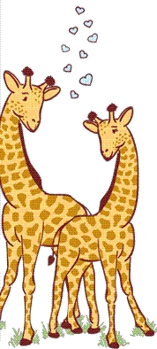 Giraffen Plaatjes Verliefde Giraffen