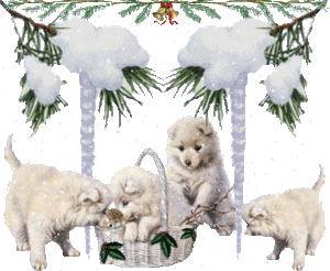 Plaatjes Kerst dieren Hondjes Kerst
