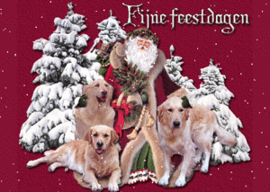 Kerstmannen Plaatjes Kerstman Met Honden Fijne Feestdagen