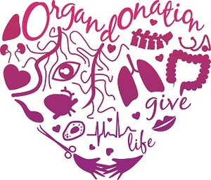 Plaatjes Orgaan donatie Orgaandonatie Hart