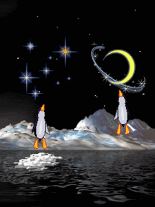 Pinguins Plaatjes Springende Pinguins Is De Nacht
