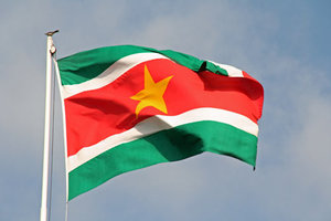 Plaatjes Suriname Suriname Vlag