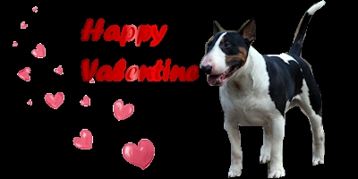 Valentijn Plaatjes Happy Valentine Hond