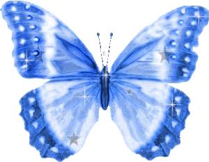 Vlinders Plaatjes Blauwe Vlinder Met  Glitters