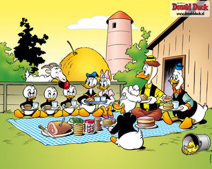 Wallpapers Donald duck en vrienden 
