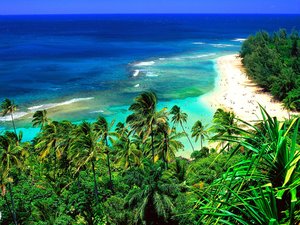 Hawaii Wallpapers Strand Beach Hawaii Blauwe Zee