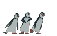 Pinguin Vogel plaatjes 