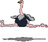 Vogel plaatjes Struisvogel 
