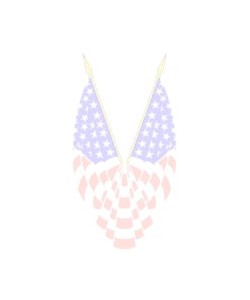 Achtergronden 4th of july 