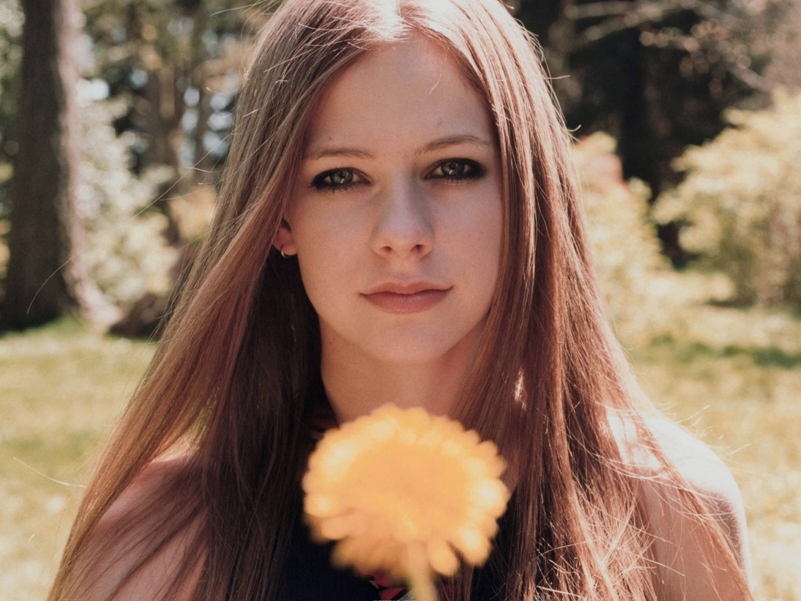 Avril lavigne Achtergronden 