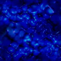 Achtergronden Blauw 