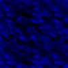 Achtergronden Blauw 