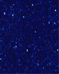 Achtergronden Blauw 