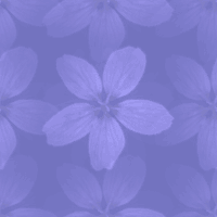 Bloemen Achtergronden 