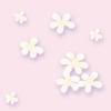 Bloemen Achtergronden 