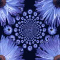 Bloemen Achtergronden 