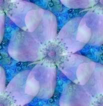 Bloemen Achtergronden 