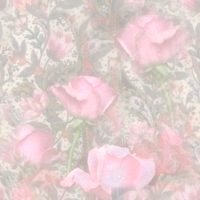 Bloemen Achtergronden 