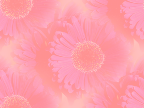 Bloemen Achtergronden 