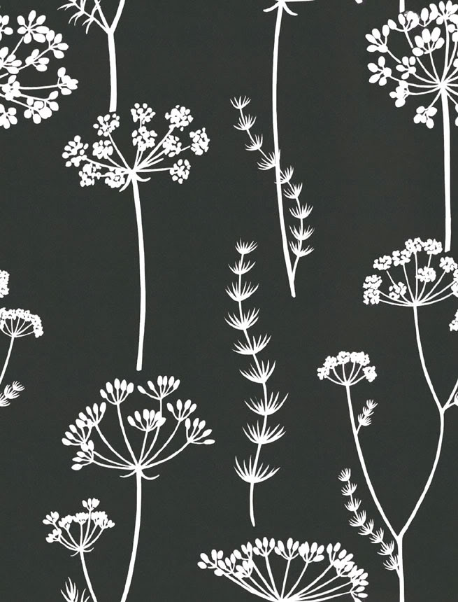 Bloemen Achtergronden 