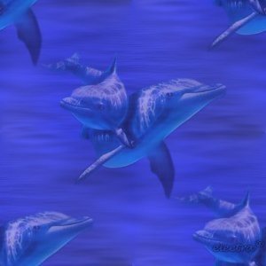 Dolfijnen Achtergronden 