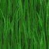 Achtergronden Groen 