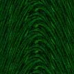 Achtergronden Groen 