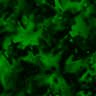 Achtergronden Groen 