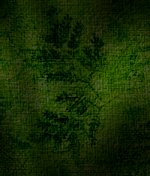 Achtergronden Groen 