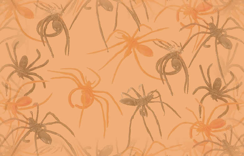 Halloween Achtergronden 