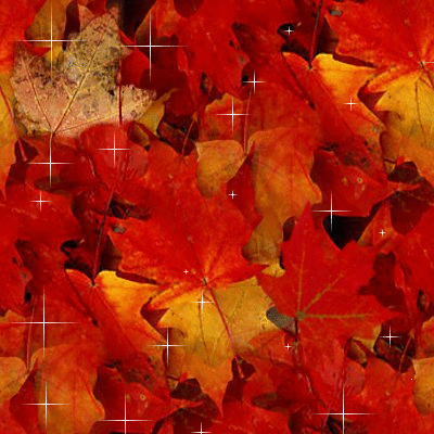 Achtergronden Herfst Rood Oranje Herfstachtergrond Met Glitter