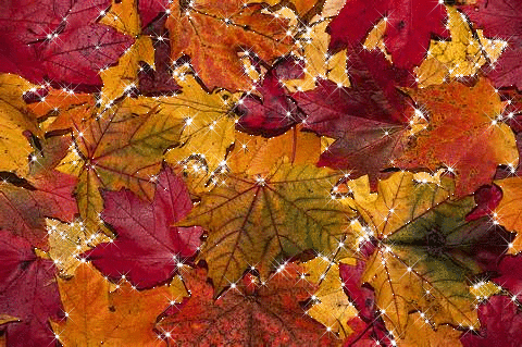Achtergronden Herfst Herfstbladeren Met Glitters