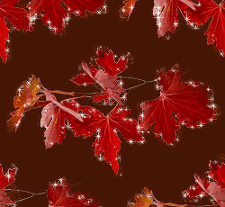 Achtergronden Herfst Rode Herfstbladeren Met Glitterrand