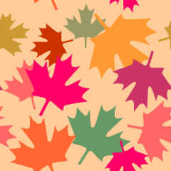 Achtergronden Herfst Gekleurde Herfstbladeren