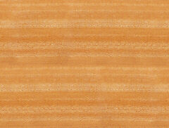 Achtergronden Hout 