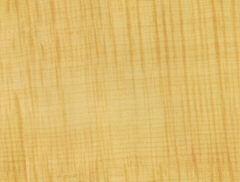 Achtergronden Hout 