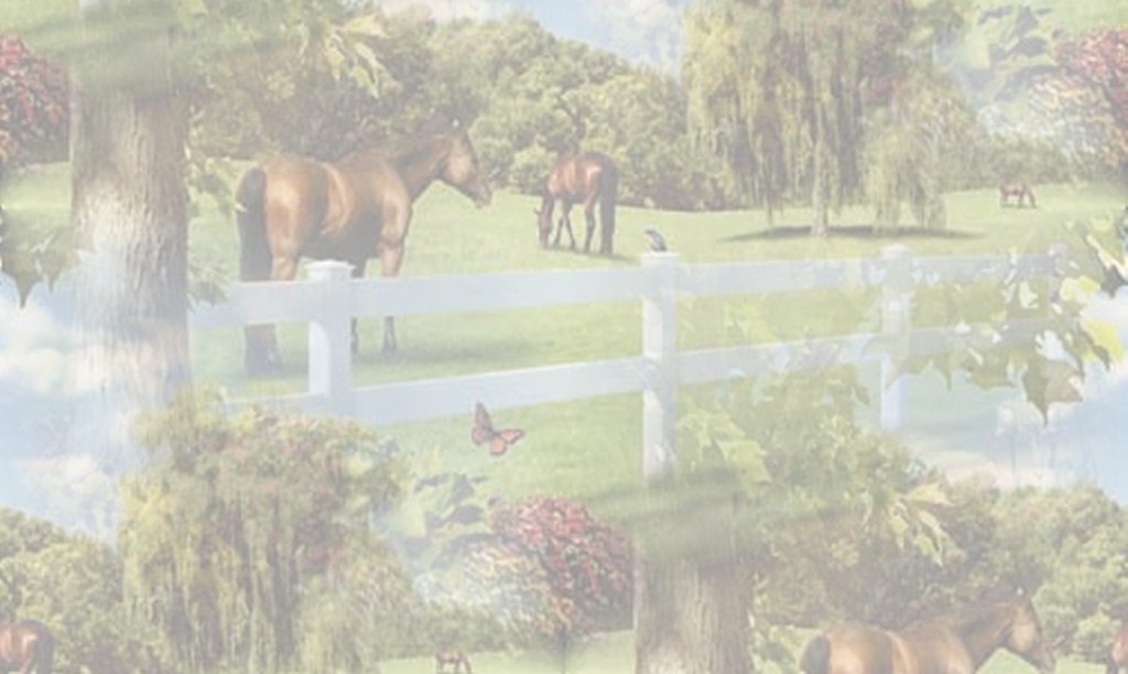 Paarden Achtergronden 