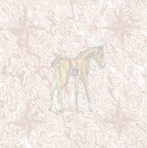 Paarden Achtergronden 