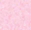 Achtergronden Rose 