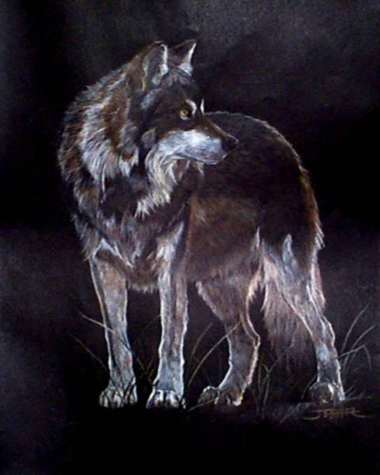 Achtergronden Wolves 