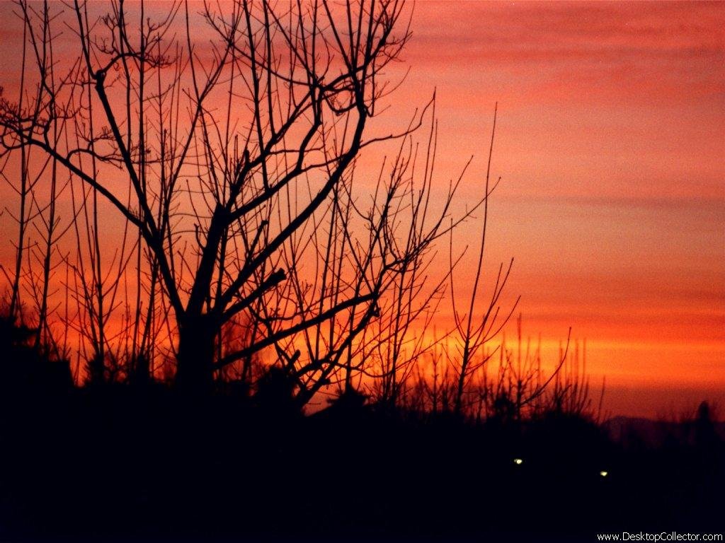 Achtergronden zonsondergang 