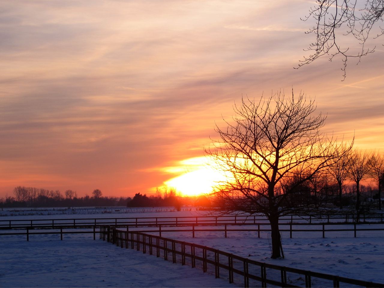 Achtergronden zonsondergang 