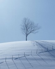 Telefoon Achtergronden Landschappen en natuur 