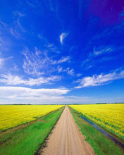 Telefoon Achtergronden Landschappen en natuur 