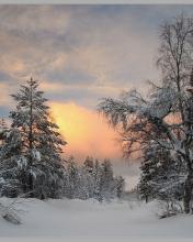 Telefoon Achtergronden Landschappen en natuur 