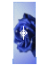 Alfabetten Blauwe roos 3 