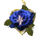 Alfabetten Blauwe roos 