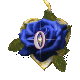 Alfabetten Blauwe roos 