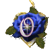 Alfabetten Blauwe roos 